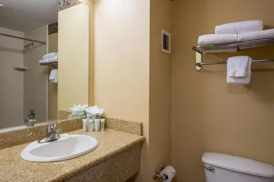 a bathroom with a sink and a toilet and a mirror at Winter Park Mountain Lodge in Winter Park
