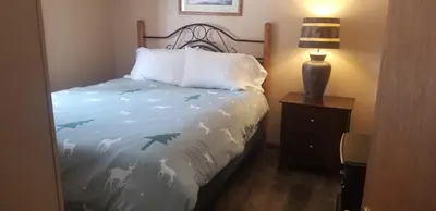 a bedroom with a bed and a lamp on a night stand at Columbine Cabins in Grand Lake
