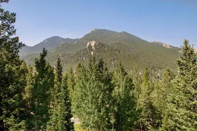 a forest of trees with mountains in the background at Adams Condominium 2 Bedroom condo in Estes Park