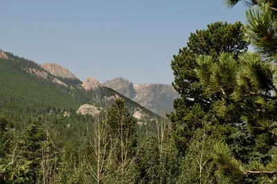 a view of a forest with mountains in the background at Adams Condominium 2 Bedroom condo in Estes Park
