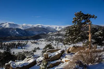 a snow covered mountain with a tree and some mountains at Mount Chiquita 10A Condo in Estes Park