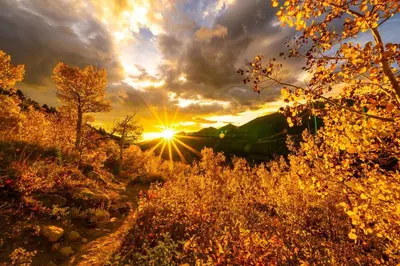 a sunset in a field with the sun in the sky at Mount Chapin S4 Condo in Estes Park