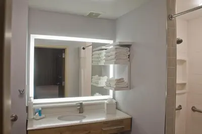 a bathroom with a sink and a mirror at Hampton Inn & Suites Denver-Speer Boulevard in Denver