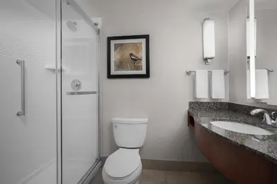 a bathroom with a toilet and a shower and a sink at Hilton Garden Inn Denver Downtown in Denver