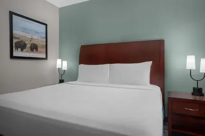 a bedroom with a large white bed and two lamps at Hilton Garden Inn Denver Downtown in Denver