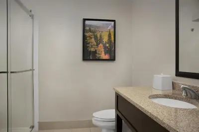 a bathroom with a toilet and a picture on the wall at Hampton Inn & Suites Denver Tech Center in Centennial