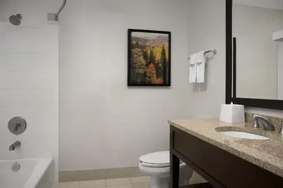a bathroom with a toilet and a picture on the wall at Hampton Inn & Suites Denver Tech Center in Centennial