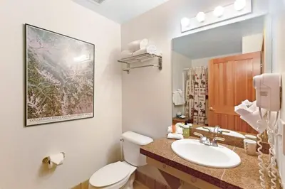 a bathroom with a toilet and a sink and a mirror at Studio Colorado Vacation Rental Located Near River Run Village With Hot Tub And Pool Access in Keystone