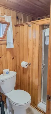 a bathroom with a toilet and a shower at Idlewilde by the River in Estes Park