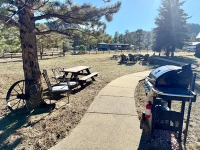 a picnic table and a bike parked next to a tree at Mountain Shadows Resort in Estes Park