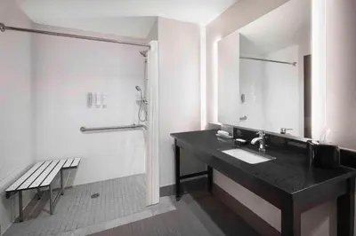 a bathroom with a sink and a shower at Hampton Inn & Suites Denver Downtown Convention Center in Denver
