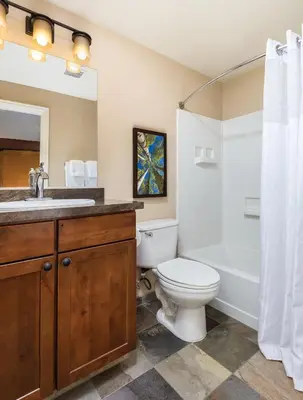 a bathroom with a toilet and a sink and a tub at WorldMark Estes Park in Estes Park
