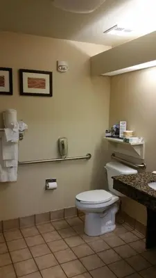 a bathroom with a toilet and a sink at Comfort Inn Fort Collins North in Fort Collins
