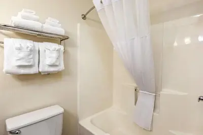 a bathroom with a shower and a toilet and towels at Quality Inn & Suites University Fort Collins in Fort Collins