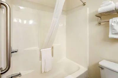 a white bathroom with a shower and a toilet at Quality Inn & Suites University Fort Collins in Fort Collins