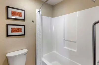 a bathroom with a shower and a white toilet at Comfort Inn Denver West Arvada Station in Wheat Ridge