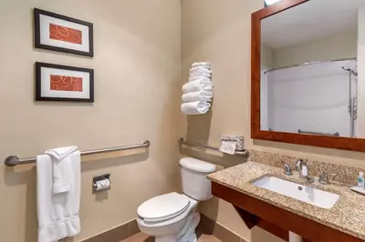 a bathroom with a toilet and a sink and a mirror at Comfort Suites Fort Collins Near University in Fort Collins