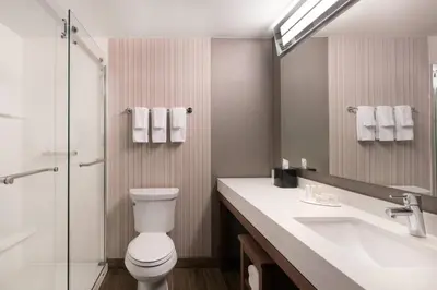a bathroom with a toilet and a sink and a shower at Courtyard Denver Airport at Gateway Park in Denver