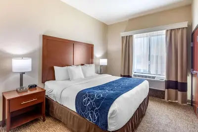 a hotel room with a bed and a window at Comfort Suites Near Denver Downtown in Denver