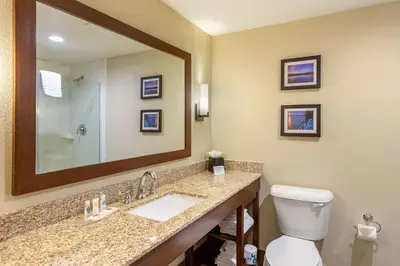 a bathroom with a sink and a toilet and a mirror at Comfort Suites Near Denver Downtown in Denver