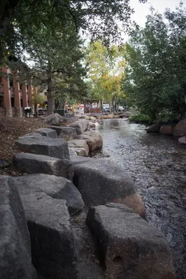 a group of rocks in a river with trees at Silver Moon Inn in Estes Park