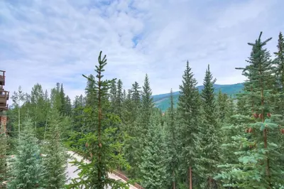 a forest of pine trees with mountains in the background at Premier 3 Bedroom Ski In, Ski Out Lone Eagle Condo With The Best Access To Skiing In Keystone in Keystone