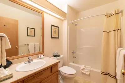 a bathroom with a sink and a toilet and a shower at Wildwood Inn in Estes Park