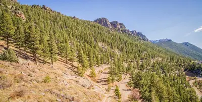 a mountain with trees on the side of it at The Cedars Luxury Home At Windcliff Home in Estes Park