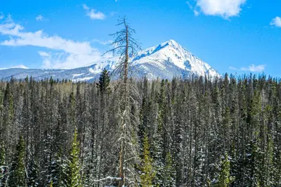 a snow covered mountain in the middle of a forest at Watch Hill 216 in Silverthorne
