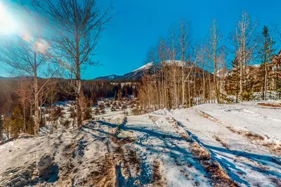 a dirt road in a snowy field with trees at Watch Hill 216 in Silverthorne