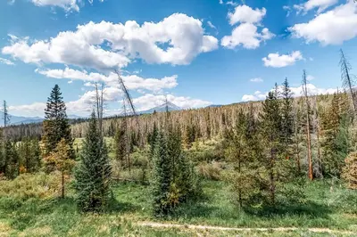 a view of a forest of trees on a hill at Watch Hill 216 in Silverthorne