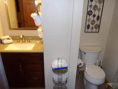 a bathroom with a toilet and a sink at Buffalo Ridge 2 Bedrooms 1 Loft BRBF in Silverthorne