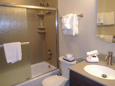 a bathroom with a toilet and a sink and a shower at Buffalo Ridge 2 Bedrooms 1 Loft BRBF in Silverthorne