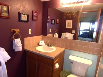 a bathroom with a sink and a toilet and a mirror at Mountainside 2 Bed 2 Bath MSBD in Frisco