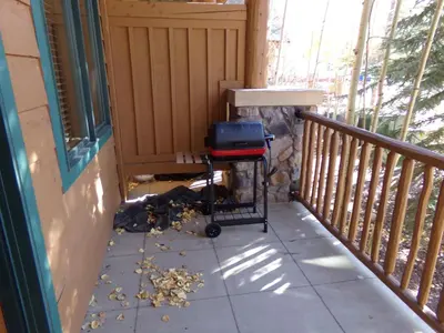 a porch with a cart on the side of a house at Arapahoe Lodge 1 Bed 1 Bath ALJP in Keystone