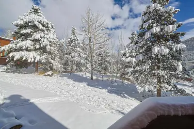 a snow covered forest with snow covered trees at Tennis Townhome 2 Bd 25 Ba TTMR in Keystone