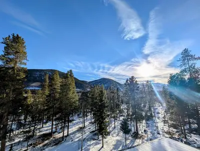 a group of trees in the snow on a mountain at Saints John 2526 by SummitCove Lodging in Keystone
