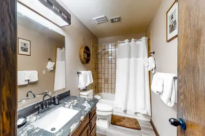 a bathroom with a sink and a toilet and a shower at Buffalo Ridge Retreat in Silverthorne