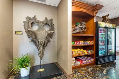 a skull on the wall of a store at Best Western Denver Southwest in Lakewood