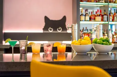 a bar with drinks and bowls of fruit on a counter at Warwick Denver in Denver