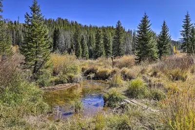 a stream in the middle of a field with trees at Four-Season Winter Park Condo with Pool Access! in Winter Park