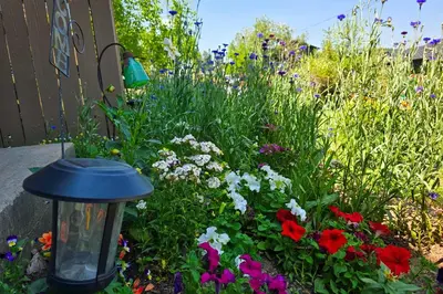 a garden with colorful flowers and a lantern at Near Red Rocks, Hiking and Skiing Kittredge Condo! in Kittredge