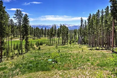 a field with trees and flowers in the mountains at Tabernash Retreat with Hot Tub and Stunning Mtn Views! in Tabernash