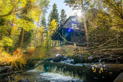 a bridge over a stream in a forest at Tranquil Dumont Home with Creek and Mtn Views! in Dumont
