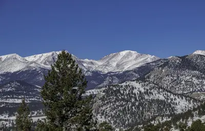 a snow covered mountain range with a tree in the foreground at Primavista Luxury Home at Windcliff condo in Estes Park