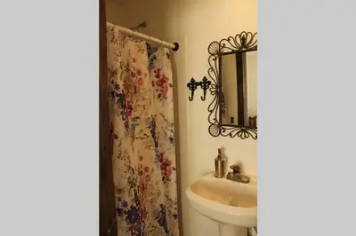 a bathroom with a sink and a shower curtain at Casa Colo in Fraser
