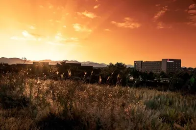 a field of tall grass with the sunset in the background at Denver Marriott Westminster in Westminster