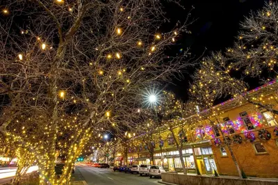 a city street with christmas lights on trees at Lola House! Cozy Comfort, Prime Old Town Location in Fort Collins