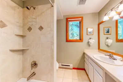 a bathroom with a shower and a sink at Red Fox in Dillon