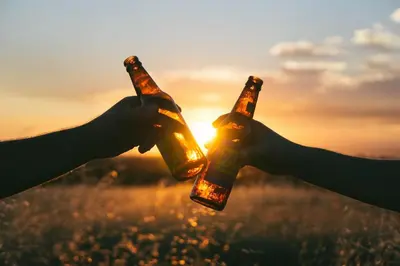 two people holding beer bottles in front of the sunset at The Chic Guest Retreat in Old Town near CSU in Fort Collins